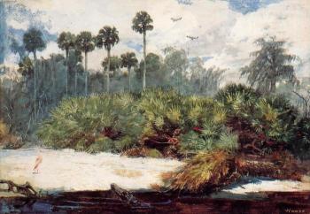Winslow Homer : Florida Jungle